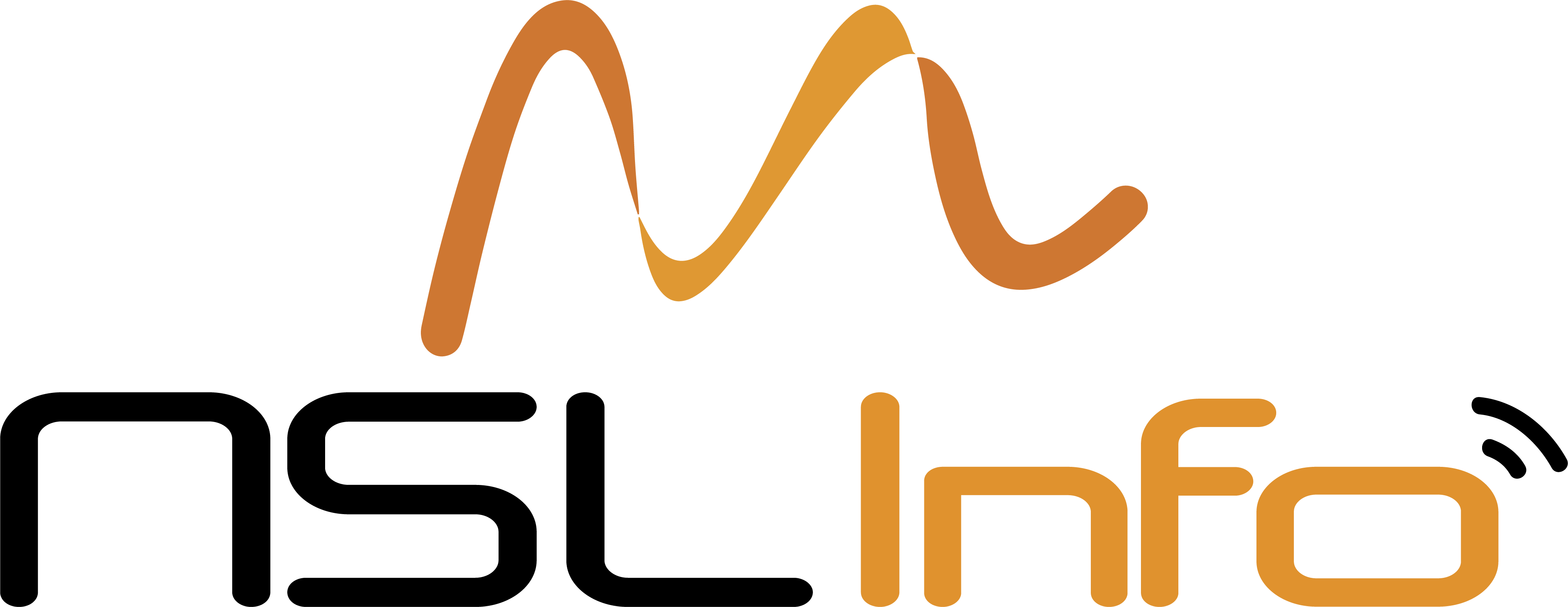 Logotipo NSL Info